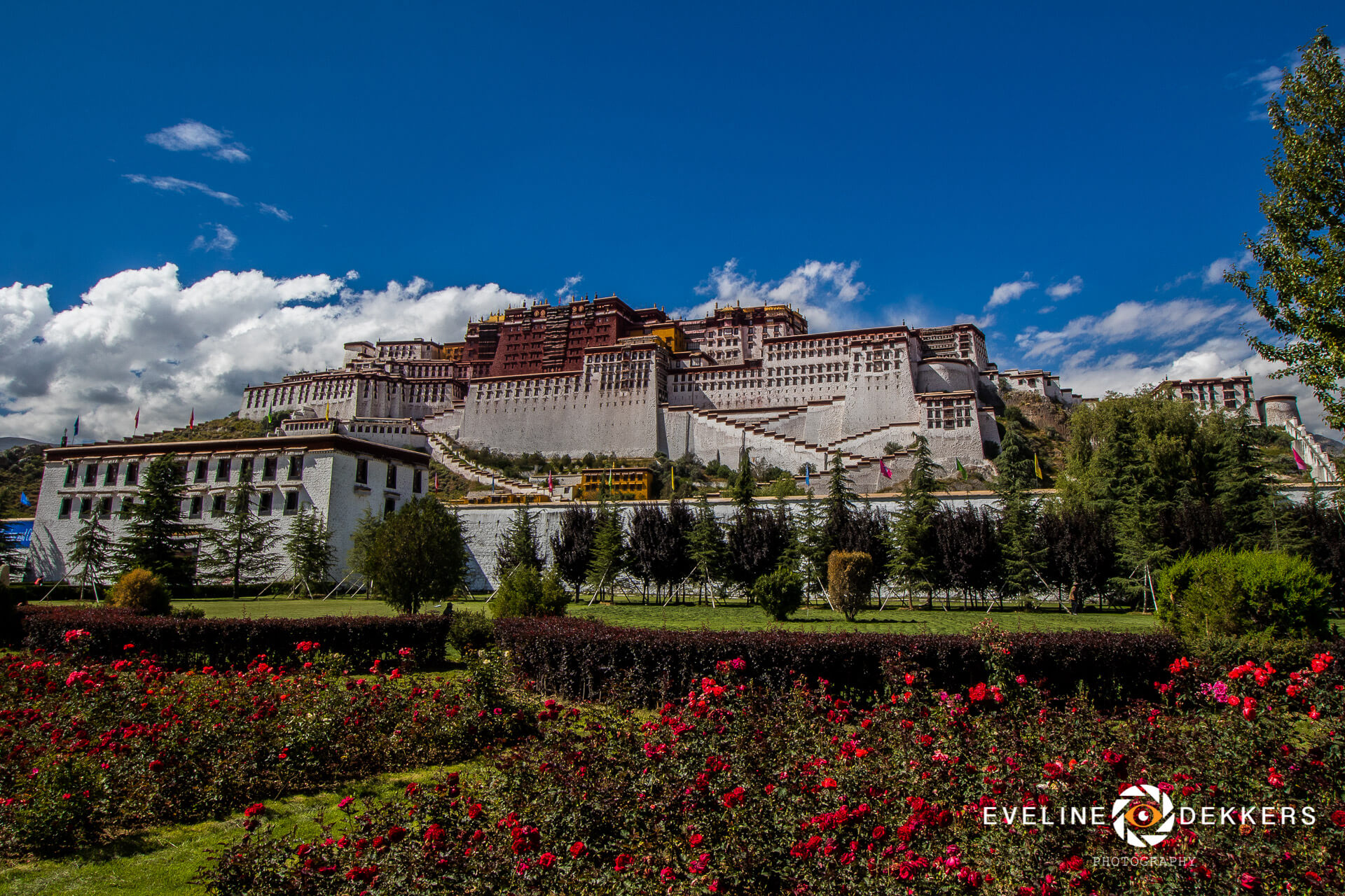Potala Palace in Lhasa - Tibet