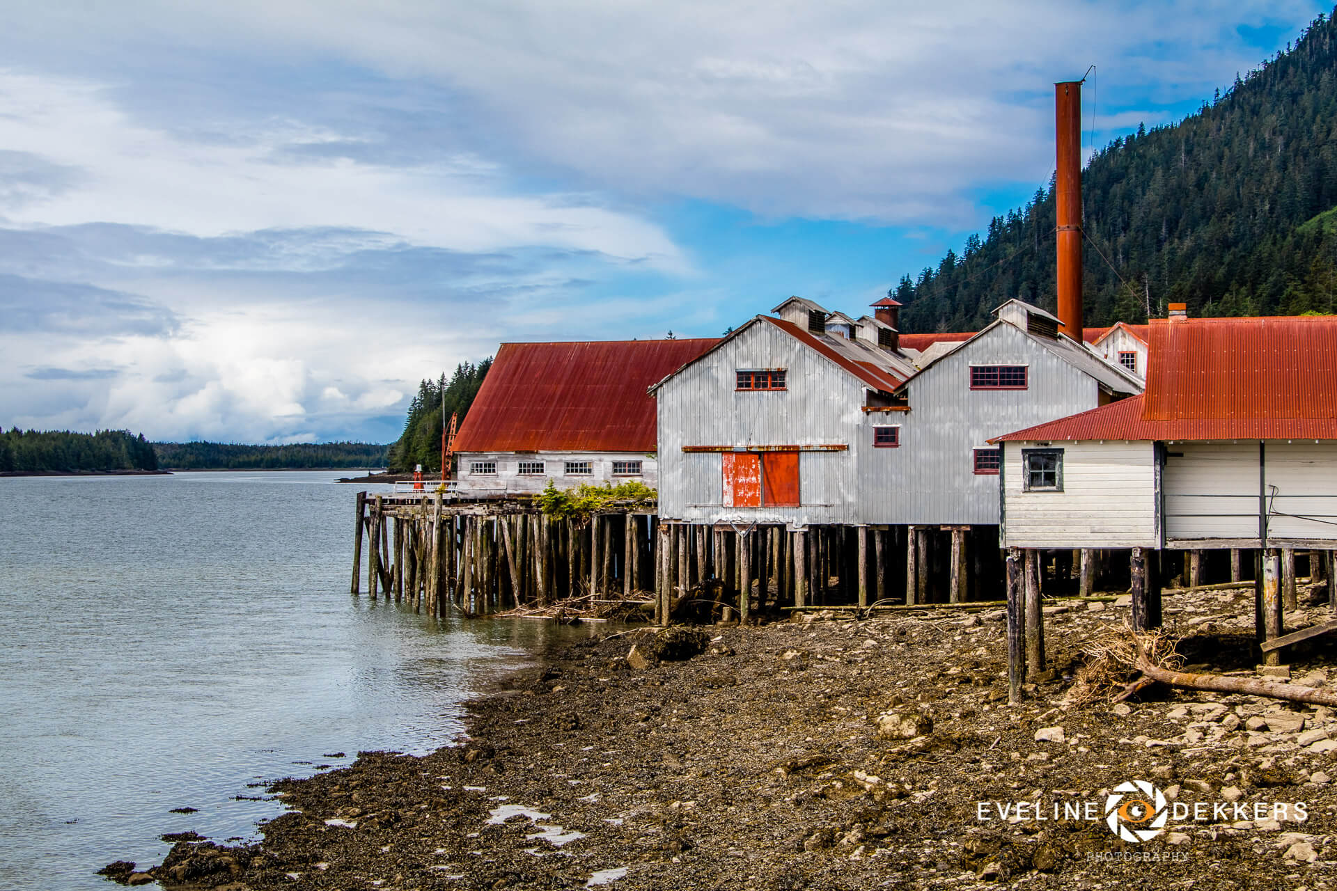 Buildings of the North Pacific Cannery